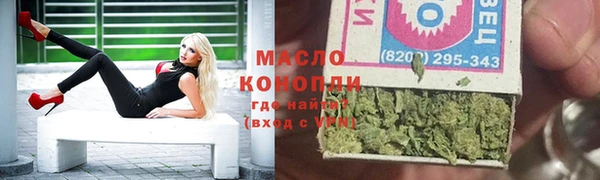дживик Каменка