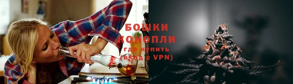 дживик Каменка