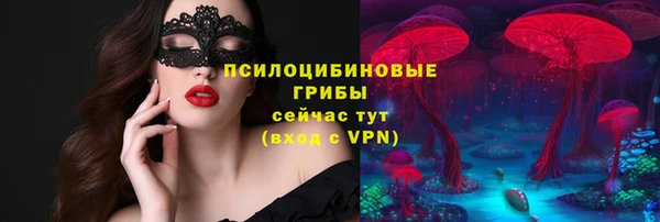 таблы Каменногорск