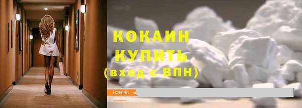 дживик Каменка