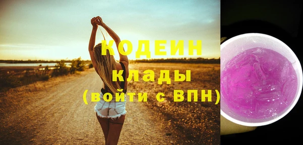 дживик Каменка