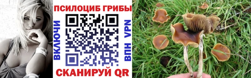 где купить наркоту Златоуст Галлюциногенные грибы Magic Shrooms