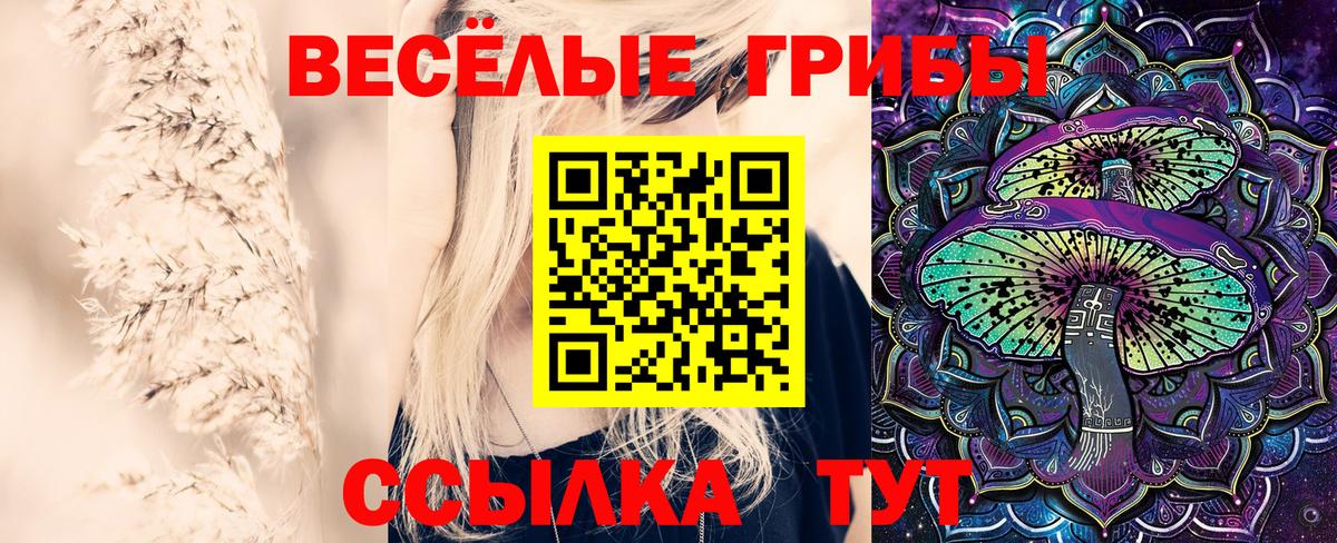 Галлюциногенные грибы Cubensis  Златоуст 