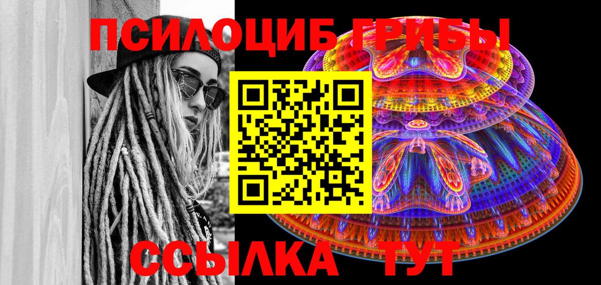 Псилоцибиновые грибы Psilocybine cubensis Златоуст